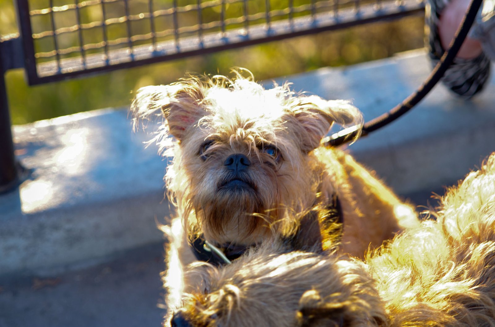 Griffith Observatory  065